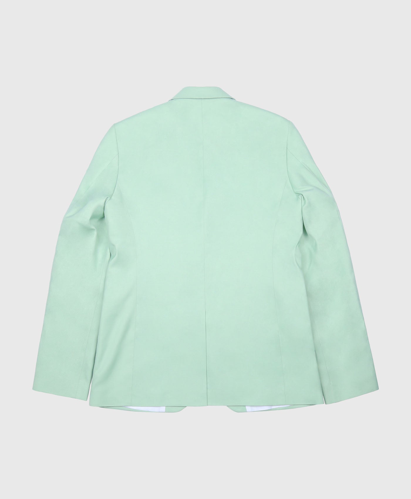 Plain Skinny Suit Jacket In Light Green