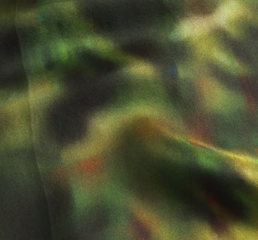 Butterfly Silk Printed Scarf