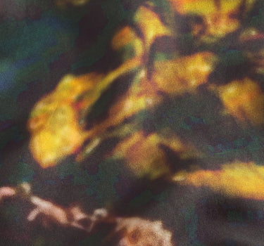 Bouquet Silk Printed Scarf