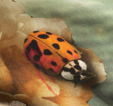 Surise Silk Printed Scarf