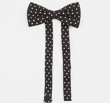 Polka Dot Bow Tie
